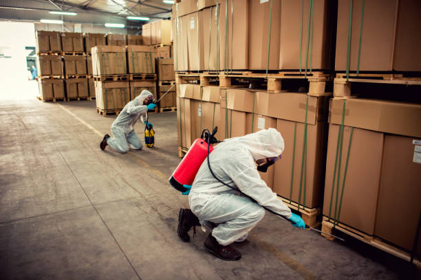 Best Pest Prevention Services  in South Floral Park, NY