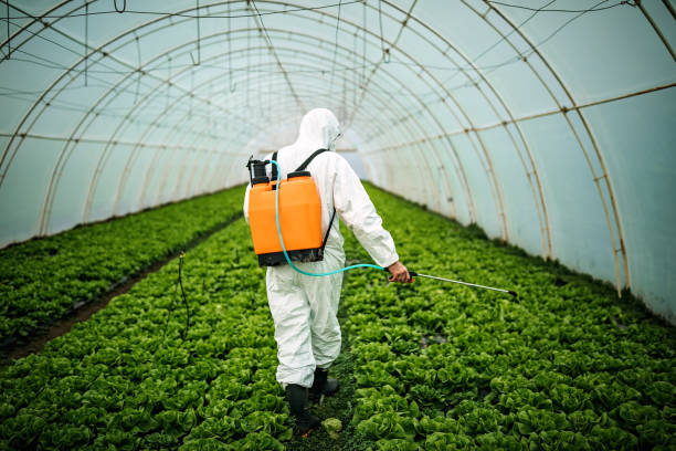 Best Best Pest Control Companies  in South Floral Park, NY
