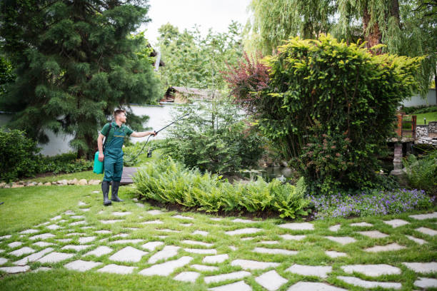 Best Local Pest Control Services  in South Floral Park, NY